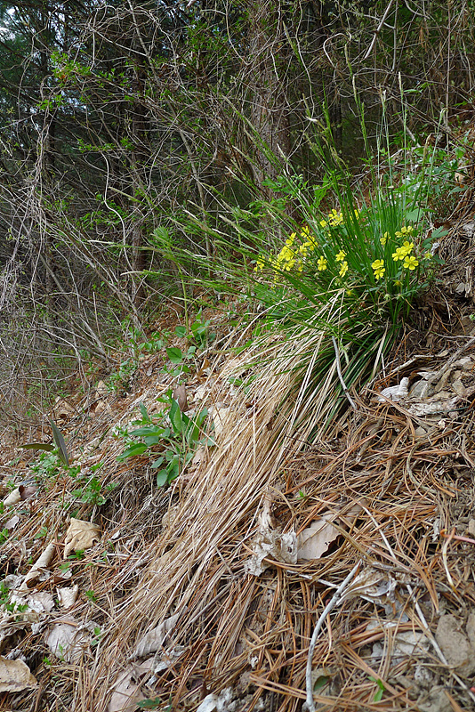 20130504-L1060493.jpg