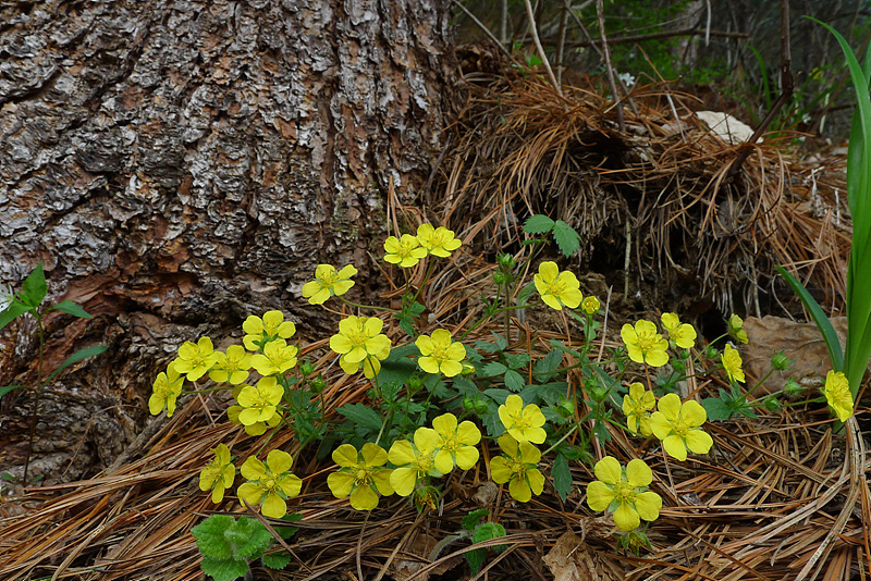 20130504-L1060482.jpg
