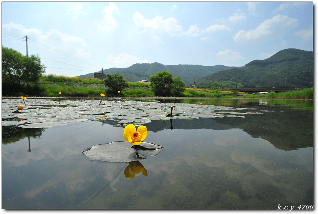 KCY_3880.jpg