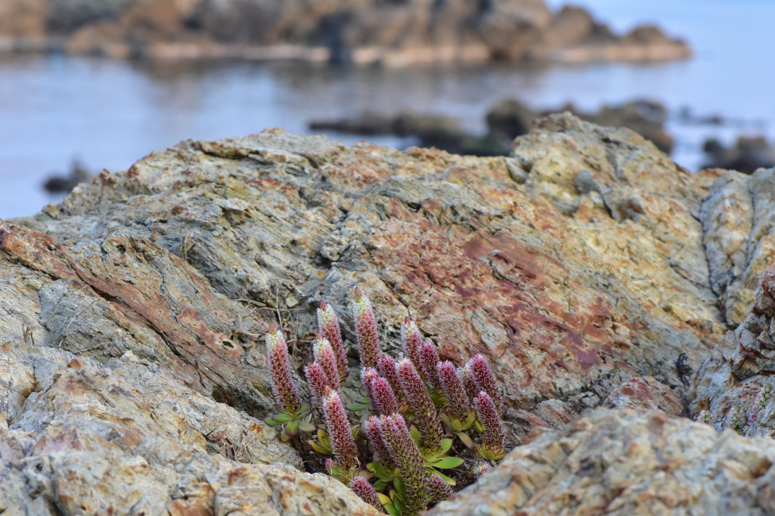 DSC_0178.JPG