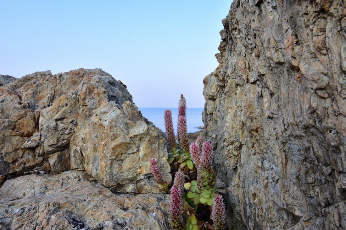 DSC_0113.JPG