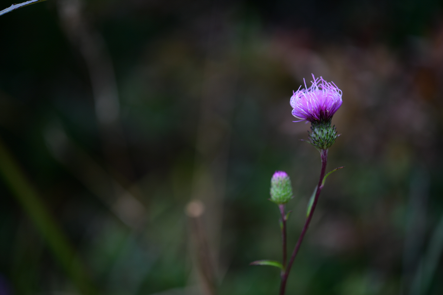 크기변환_DSC_4829.JPG