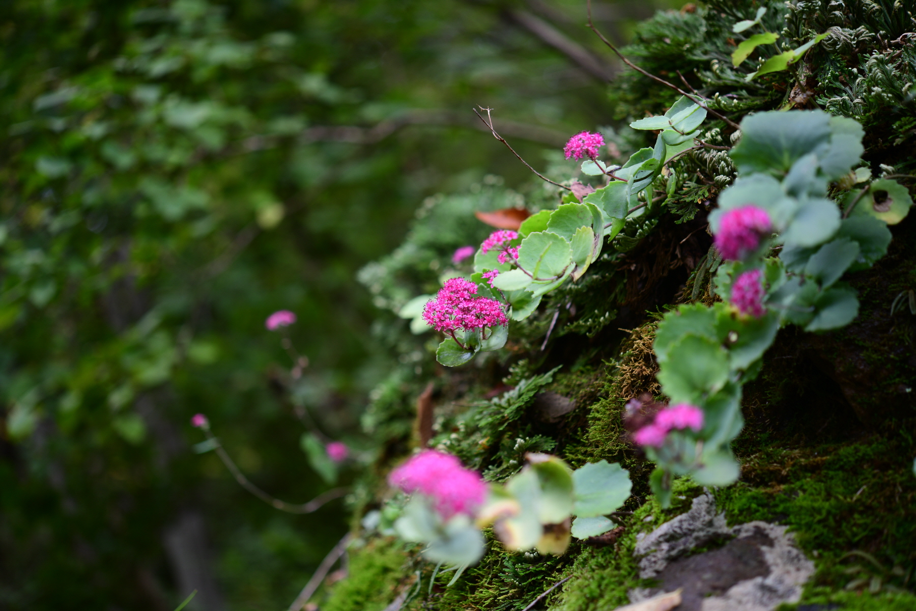 크기변환_DSC_1577.JPG