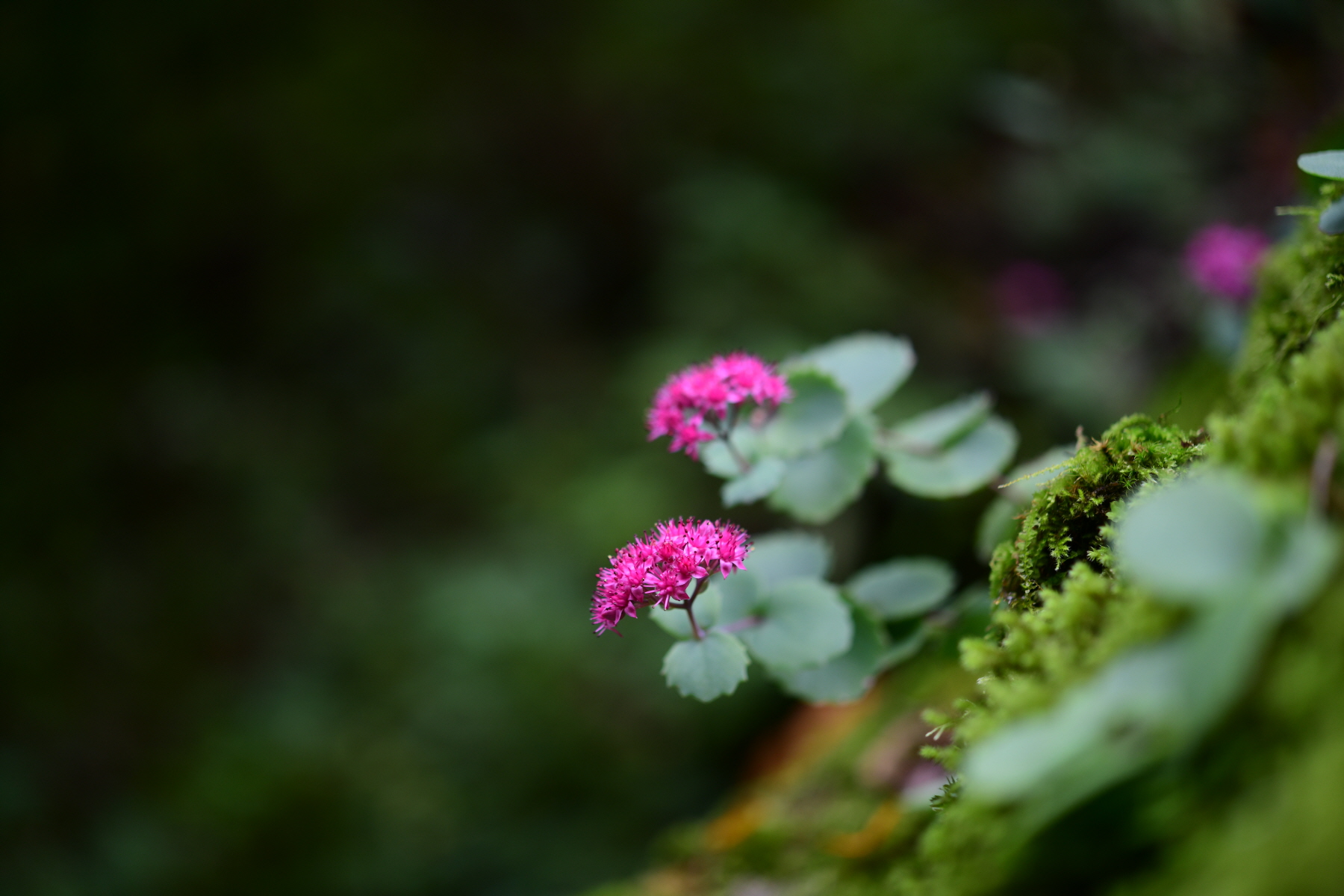 크기변환_DSC_1608.JPG