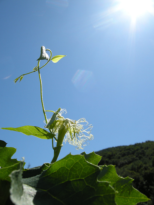 사진 006.jpg
