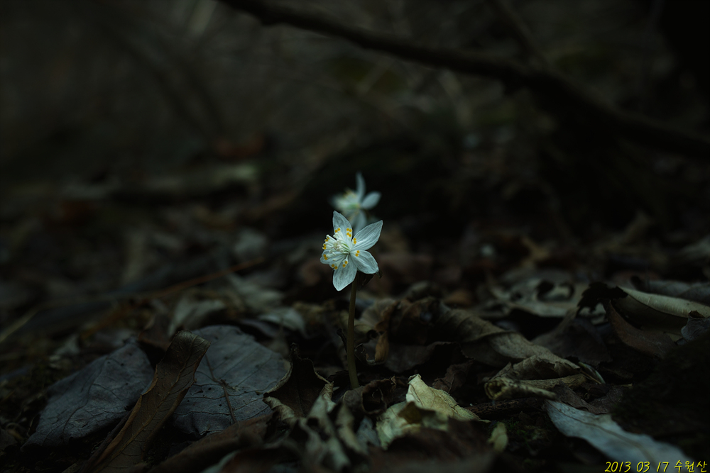SDIM3308.jpg