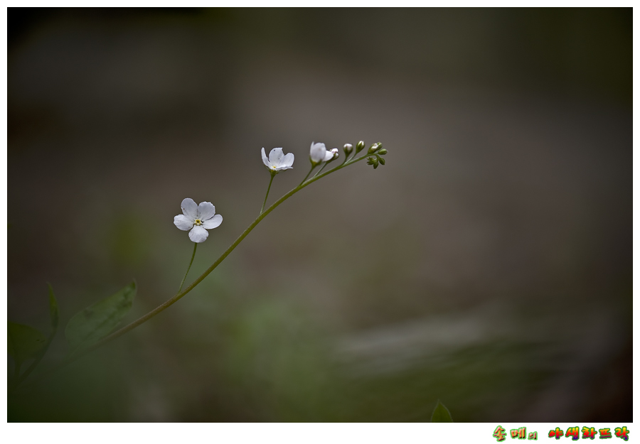 DSC_1740-1.jpg
