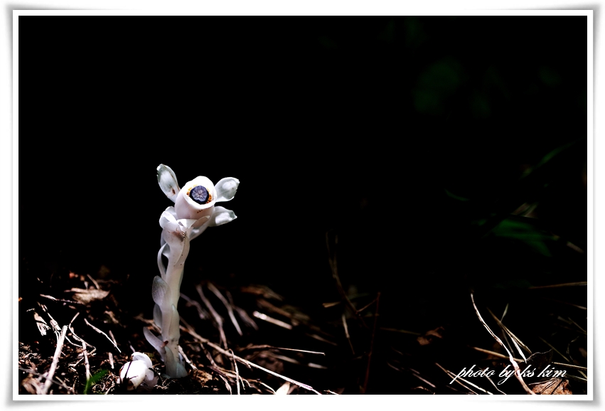 DSC_5673.jpg