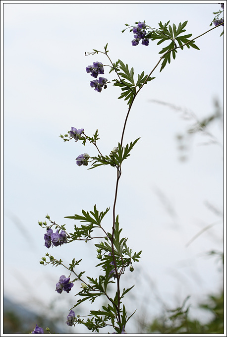 20100917 090.jpg