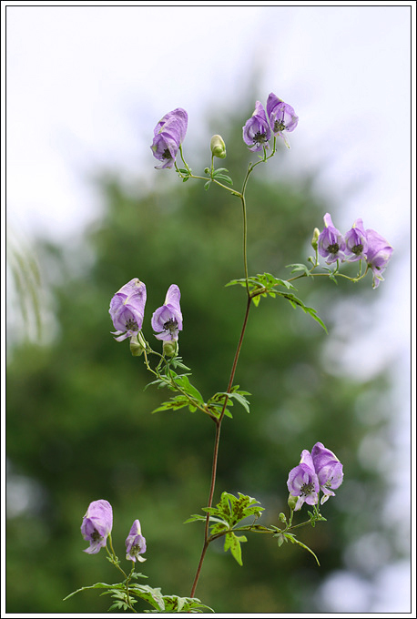 20100917 044.jpg