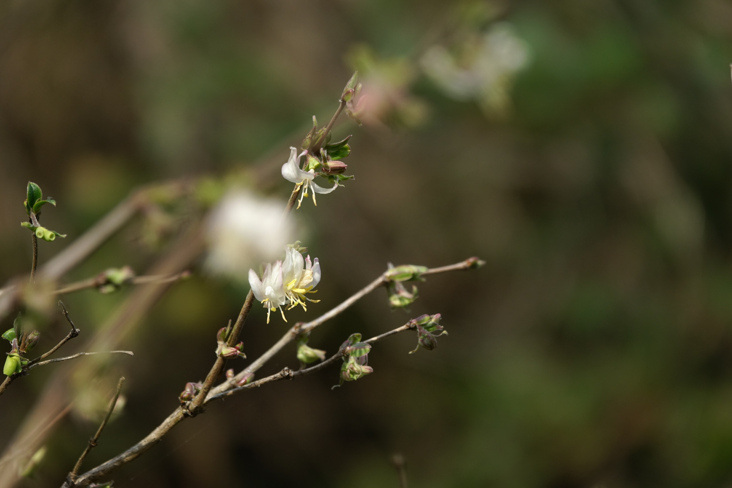 [크기변환]DSC03187.JPG