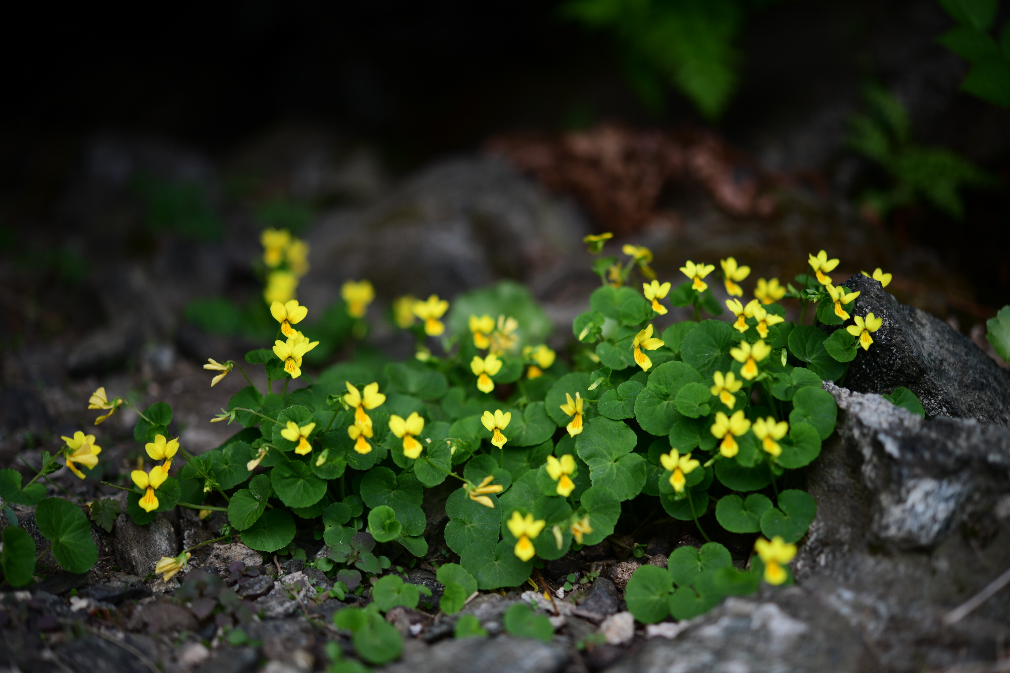 크기변환_DSC_7717.JPG