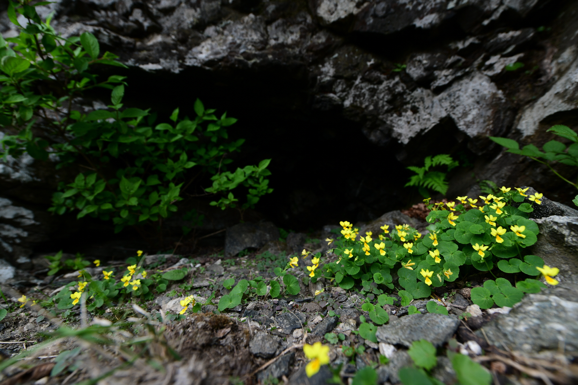 크기변환_DSC_7731.JPG
