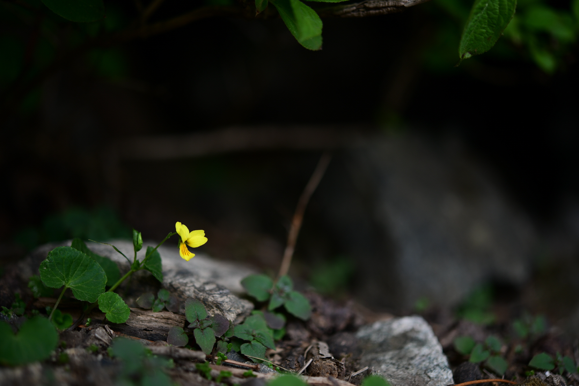 크기변환_DSC_7704.JPG