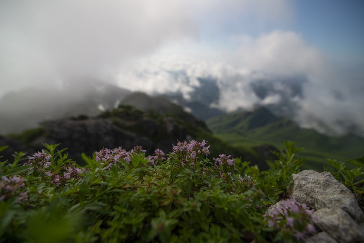 DSC_1669.jpg