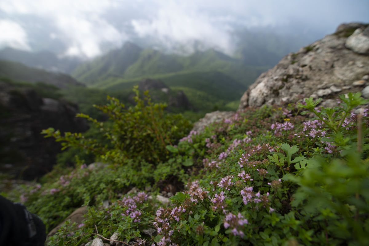 DSC_1671.jpg
