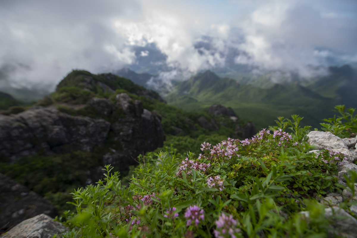 DSC_1674.jpg