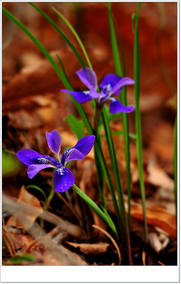 DSC_5841.JPG