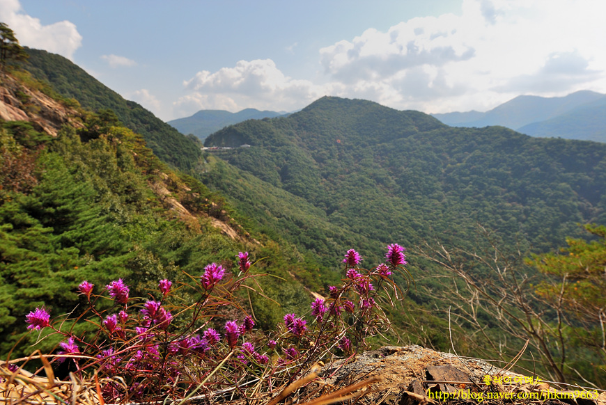 DSC_1170.jpg