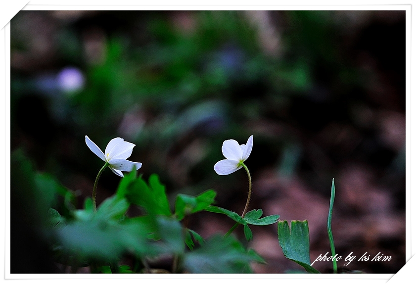 DSC_5189.jpg
