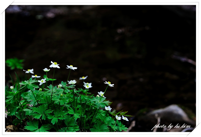 DSC_5023.jpg