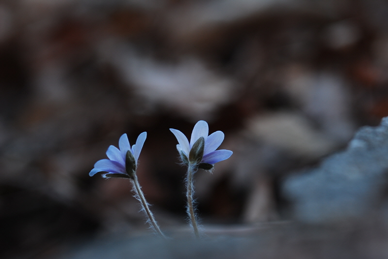 크기변환_DSC_0172.JPG