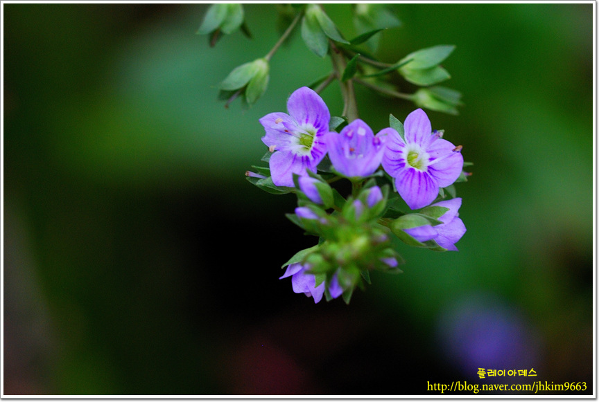 DSC_2756.jpg