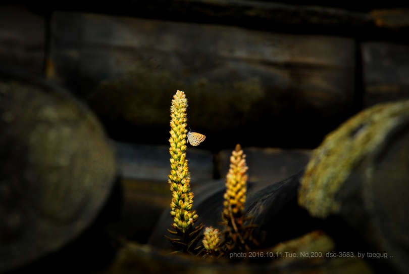 1476610444-2.jpg