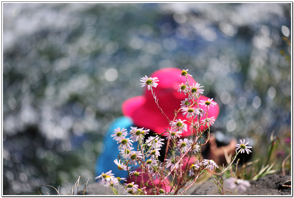 DSC_3454.jpg