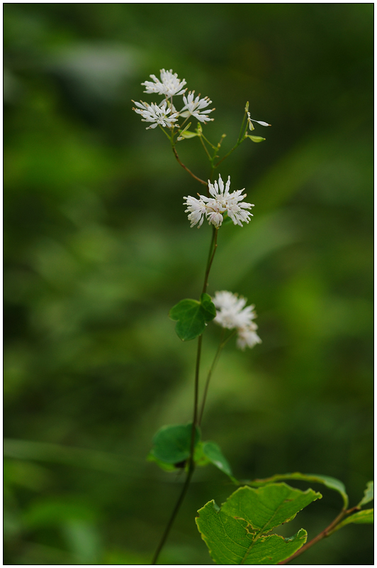DSC_8296.jpg