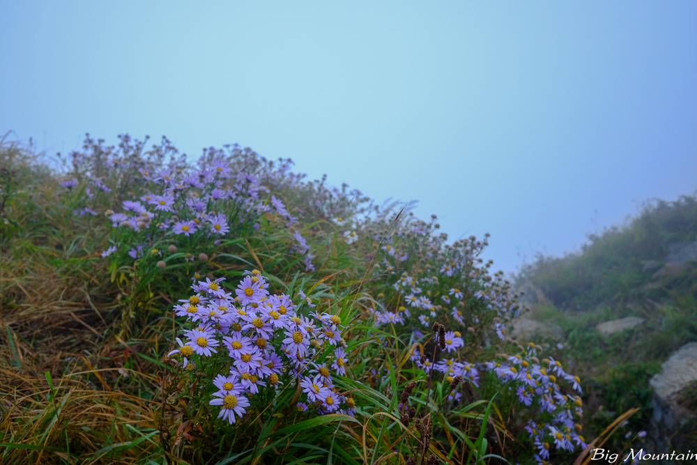 DSCF5641.jpg