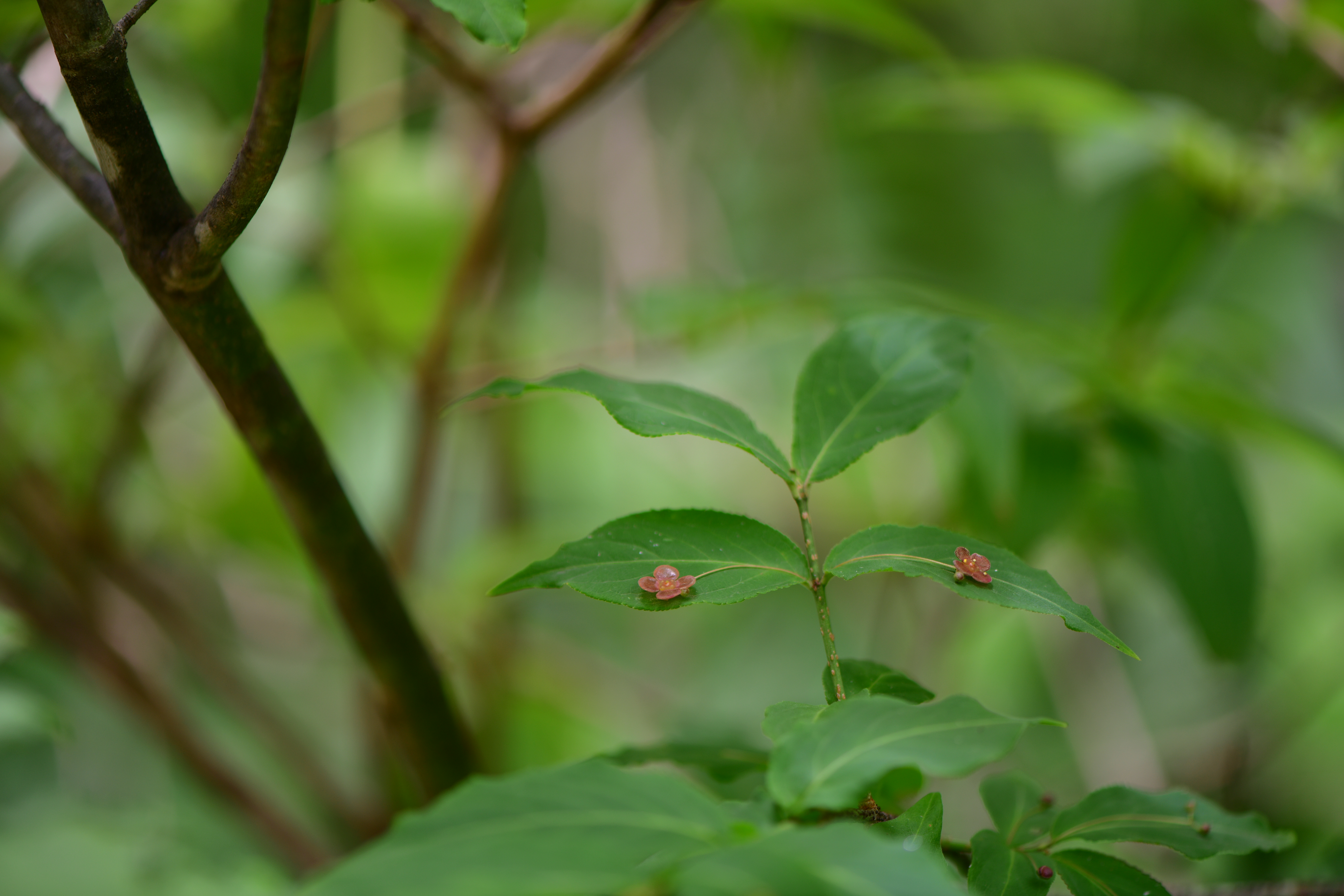 DSC_1102.JPG