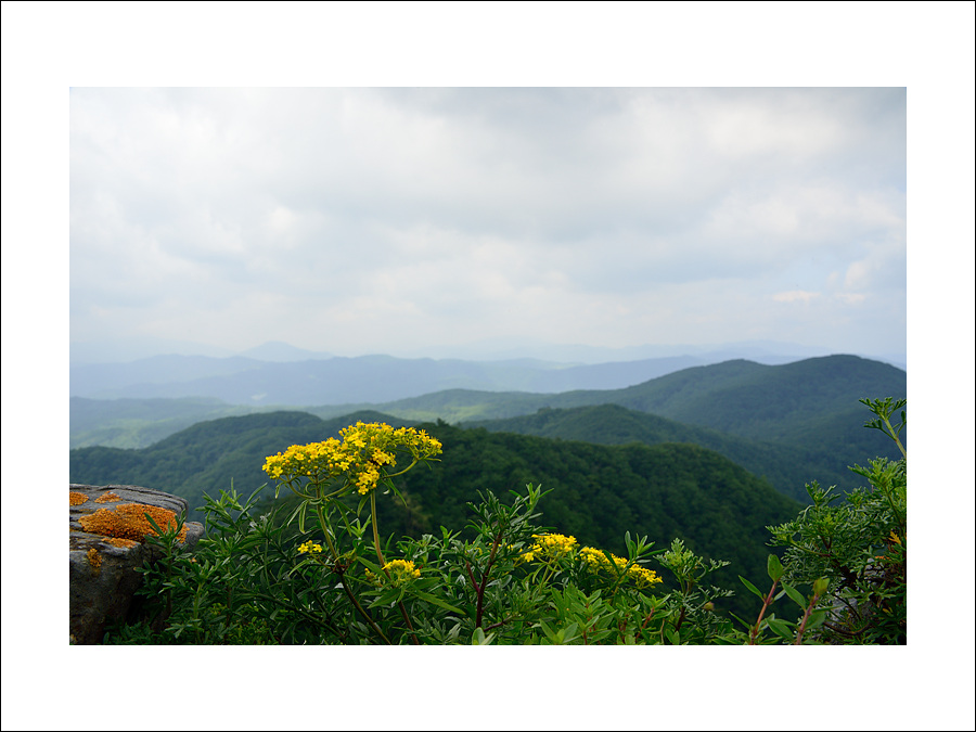DSC_1718.jpg