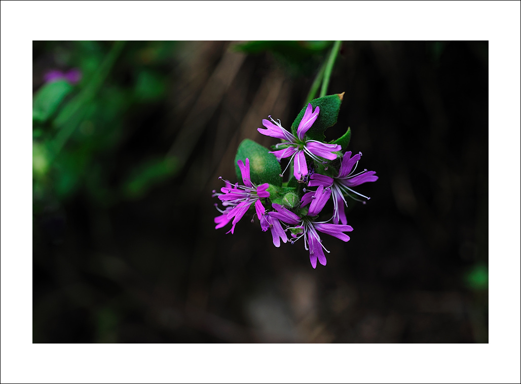 DSC_8156.jpg