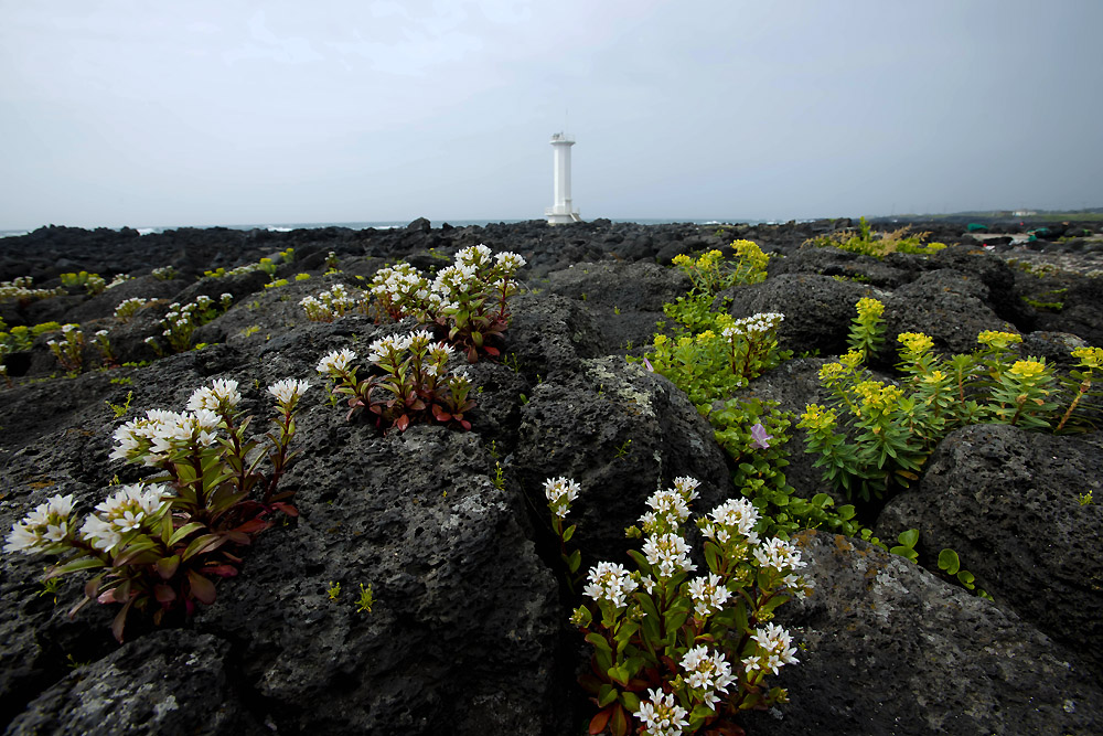 20140511_0019a-1.jpg