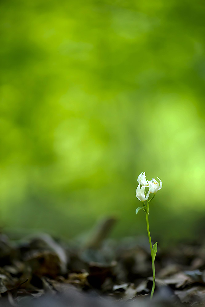 20140504_0227b-1.jpg