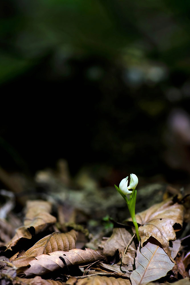 20140504_0214a-1.jpg