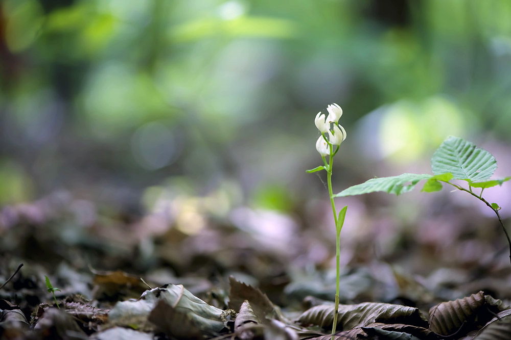 20140504_0222a-1.jpg