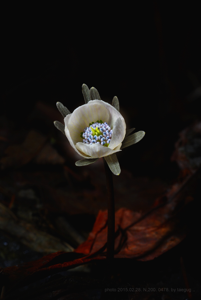 mm_DSC0478.JPG