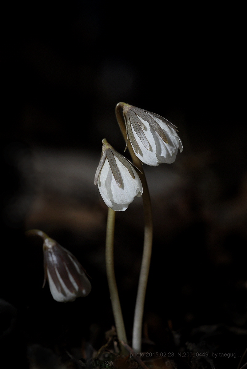 mm_DSC0449.JPG