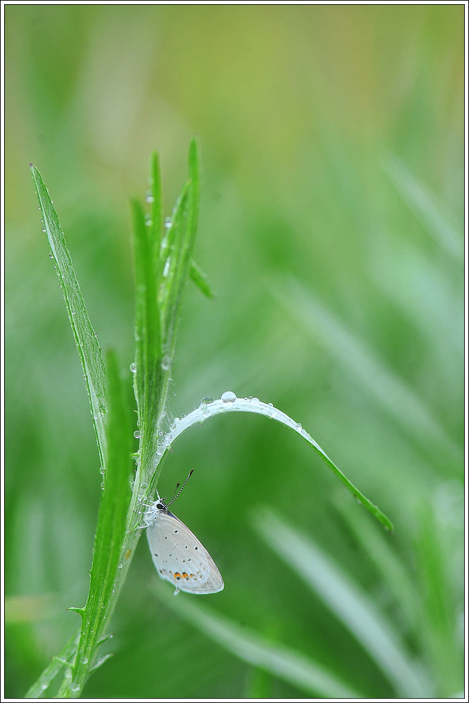 DSC_0775.jpg