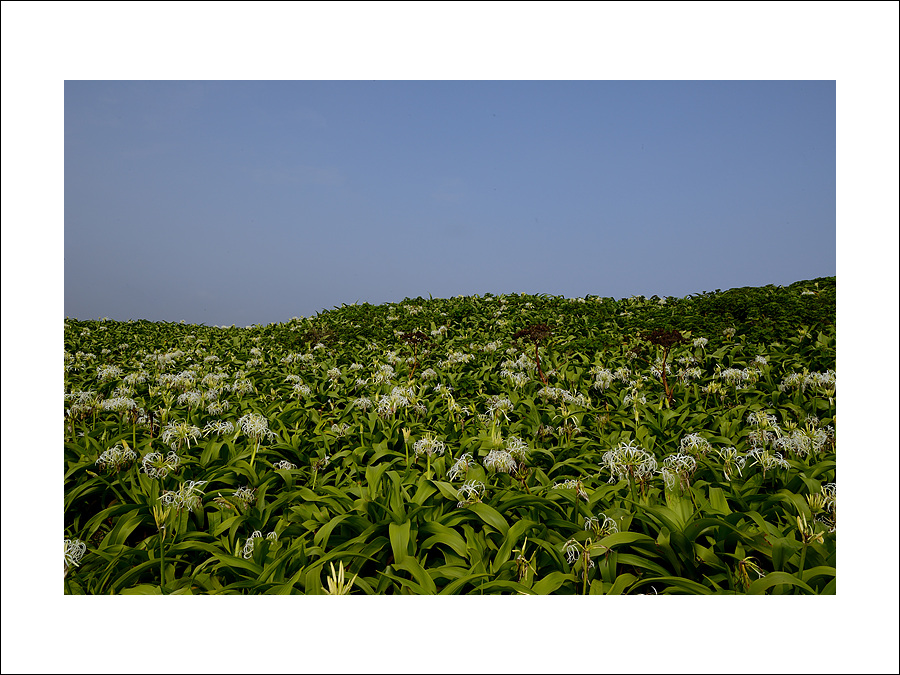 DSC_7770.jpg