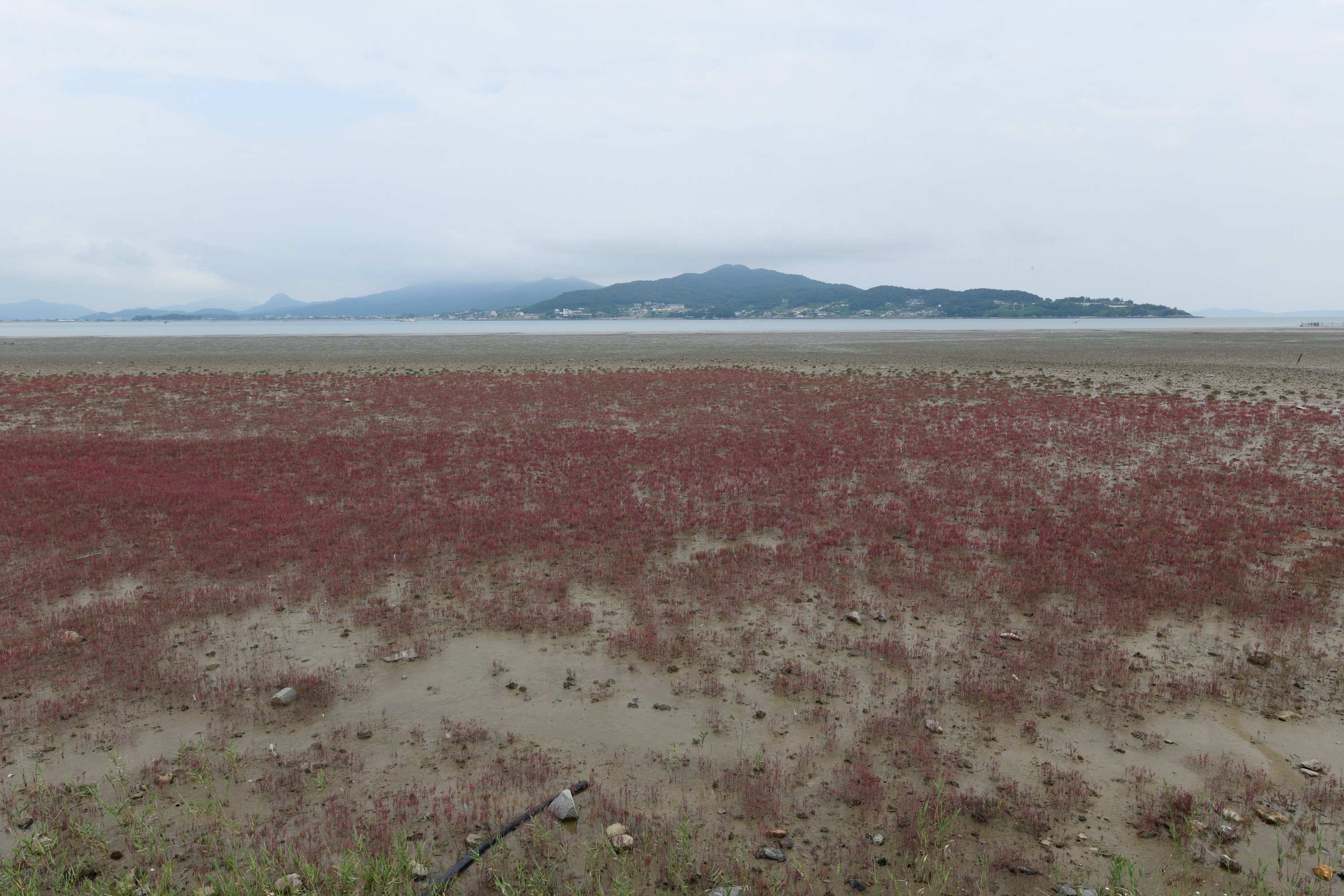 크기변환_DSC_1837.JPG