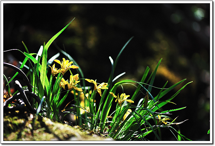 DSC_0165-1.jpg