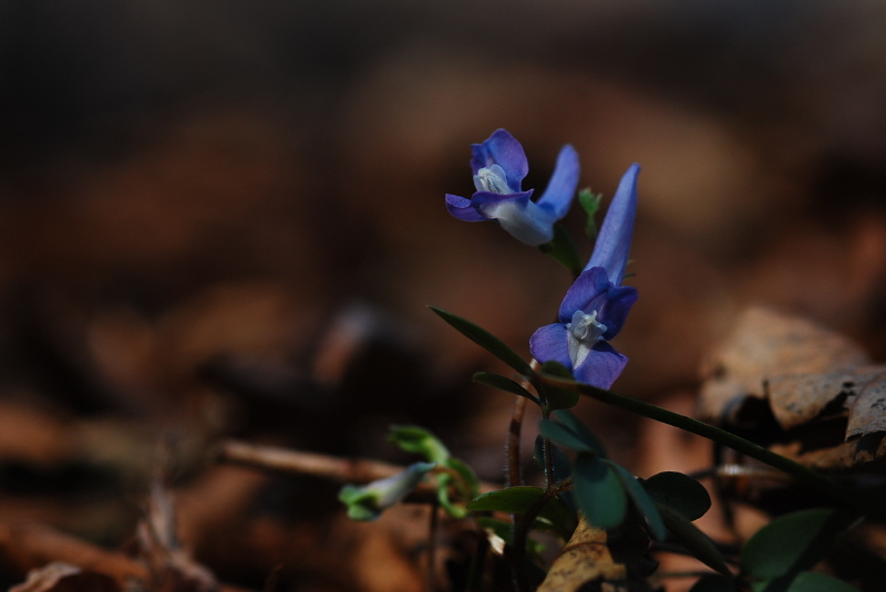 크기변환_DSC_0074.JPG