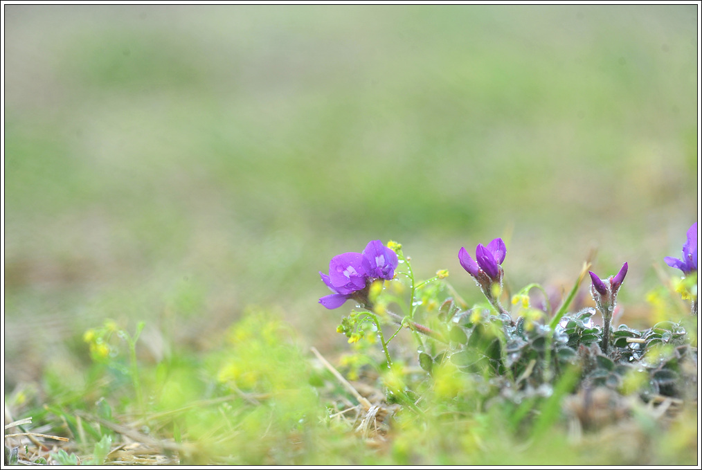 DSC_0783.jpg