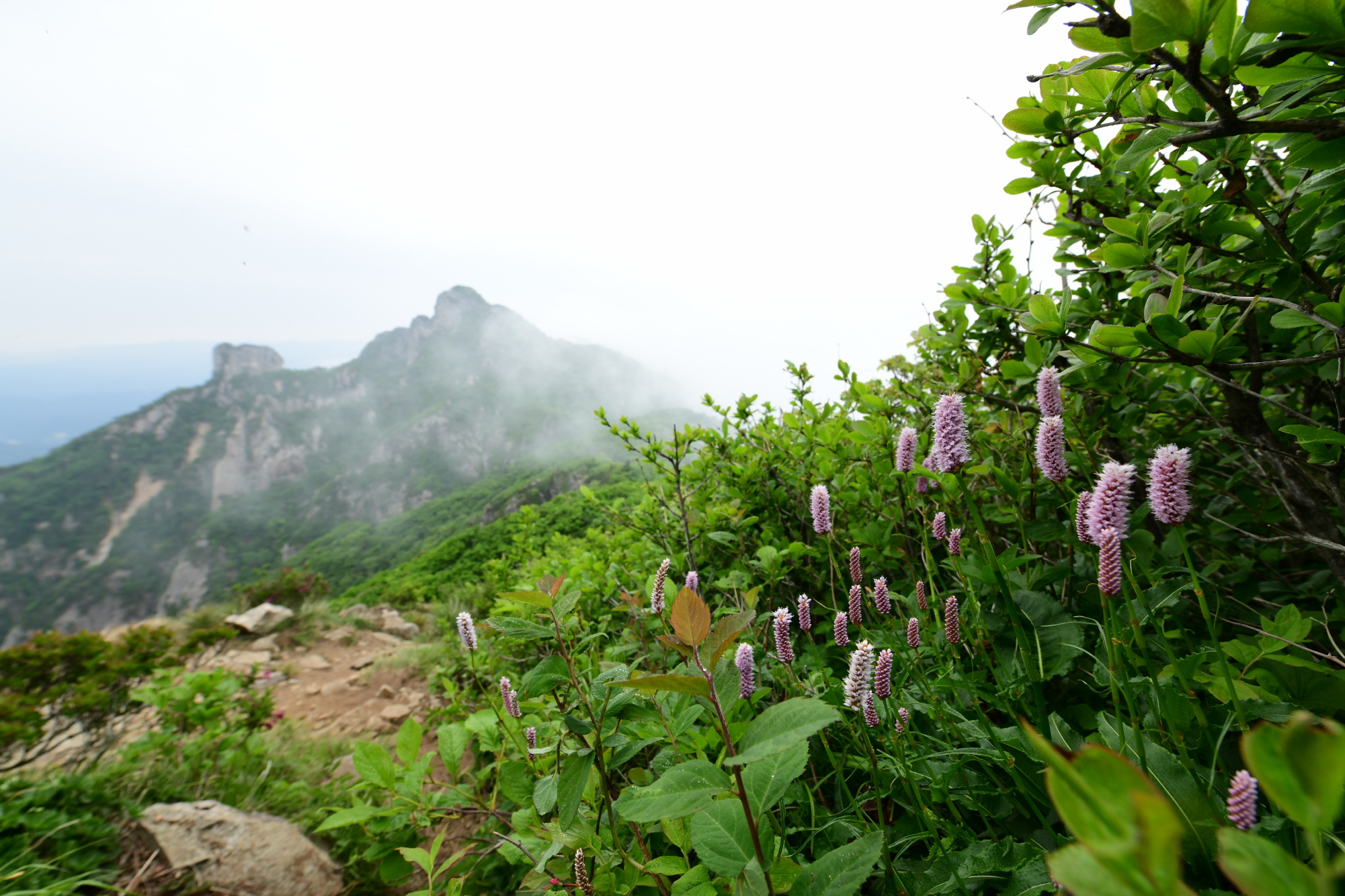 크기변환_DSC_7846.JPG