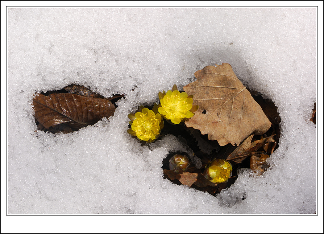 DSC_5976.jpg