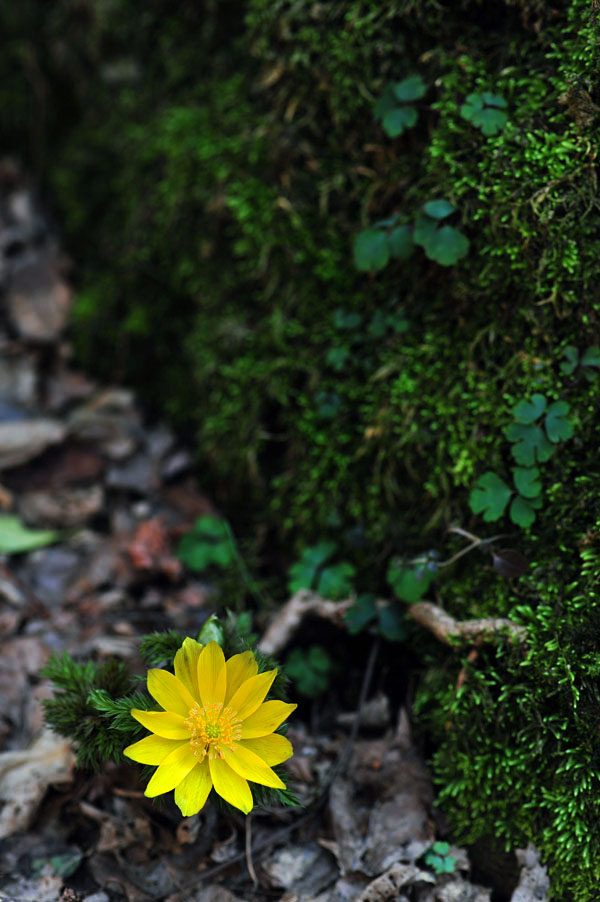 20120310_0020-1.jpg