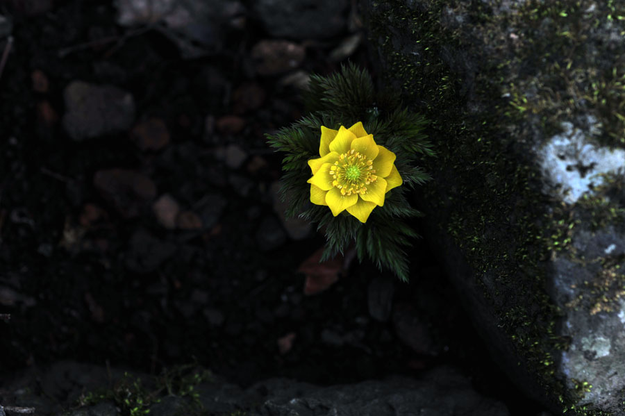 20120310_0070-2.jpg